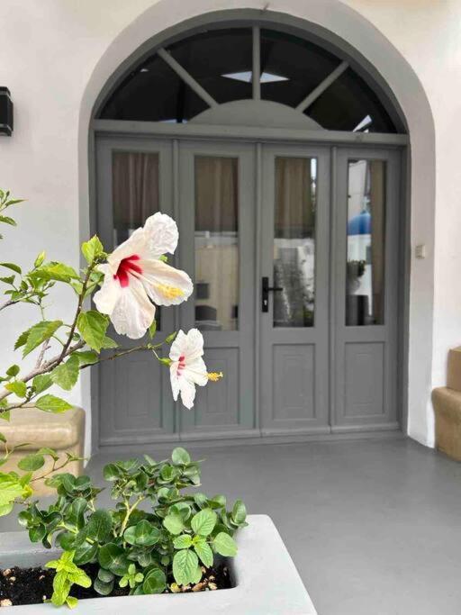Antoniou Santorini Luxury Home Φηρά Εξωτερικό φωτογραφία